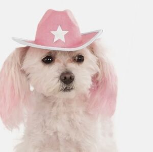 Rubies Pet Shop Pink Cowboy Hat For Dog Size S/M